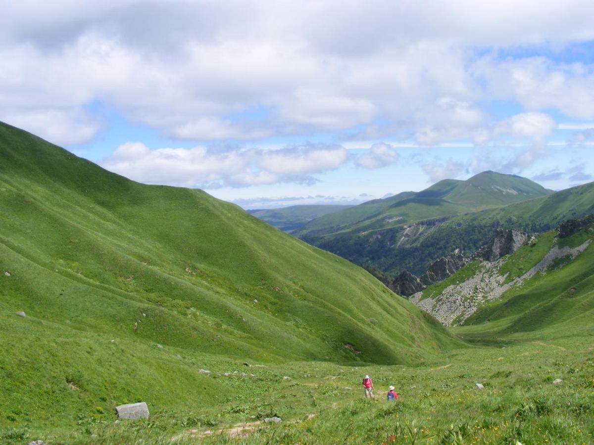 Logis Las Crozas La Cocotte Vernines Kültér fotó